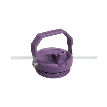 The IceFlow Flip Straw Tumbler | 30 OZ JA0