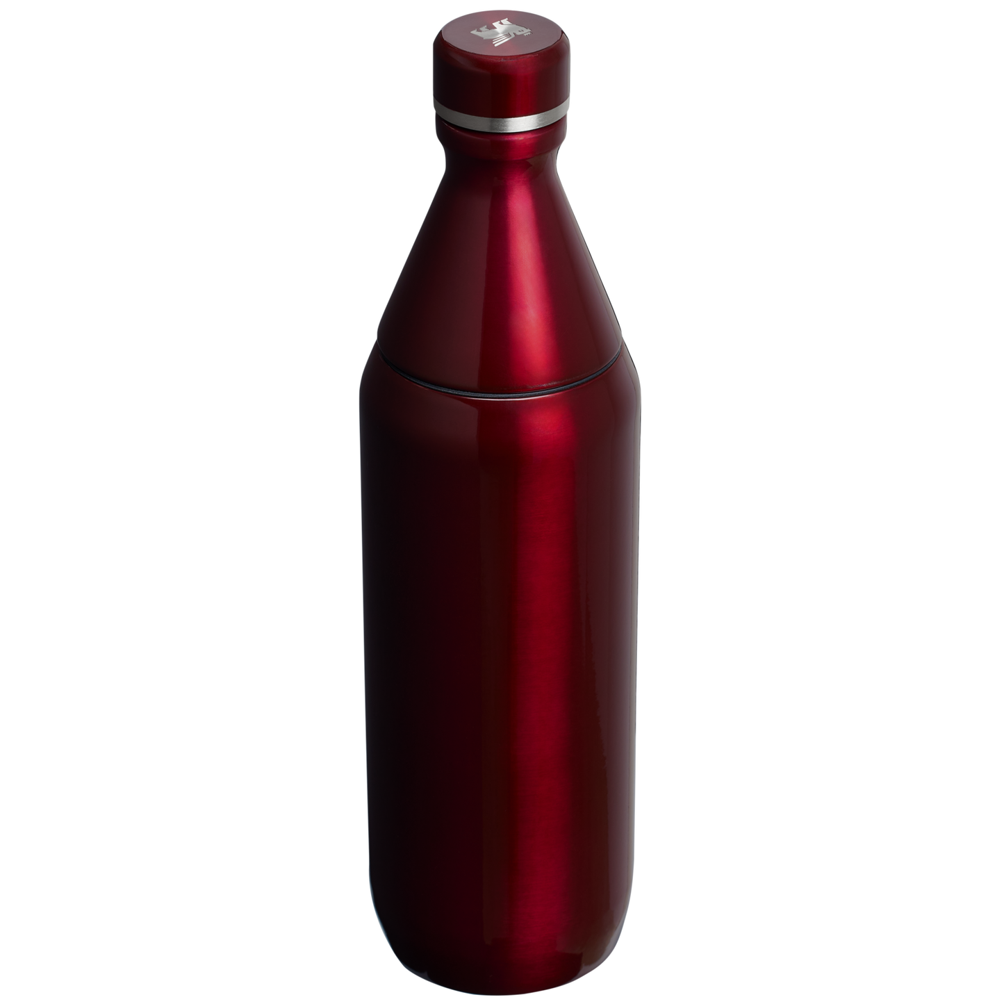 All Day Slim Bottle | 20 OZ FX2