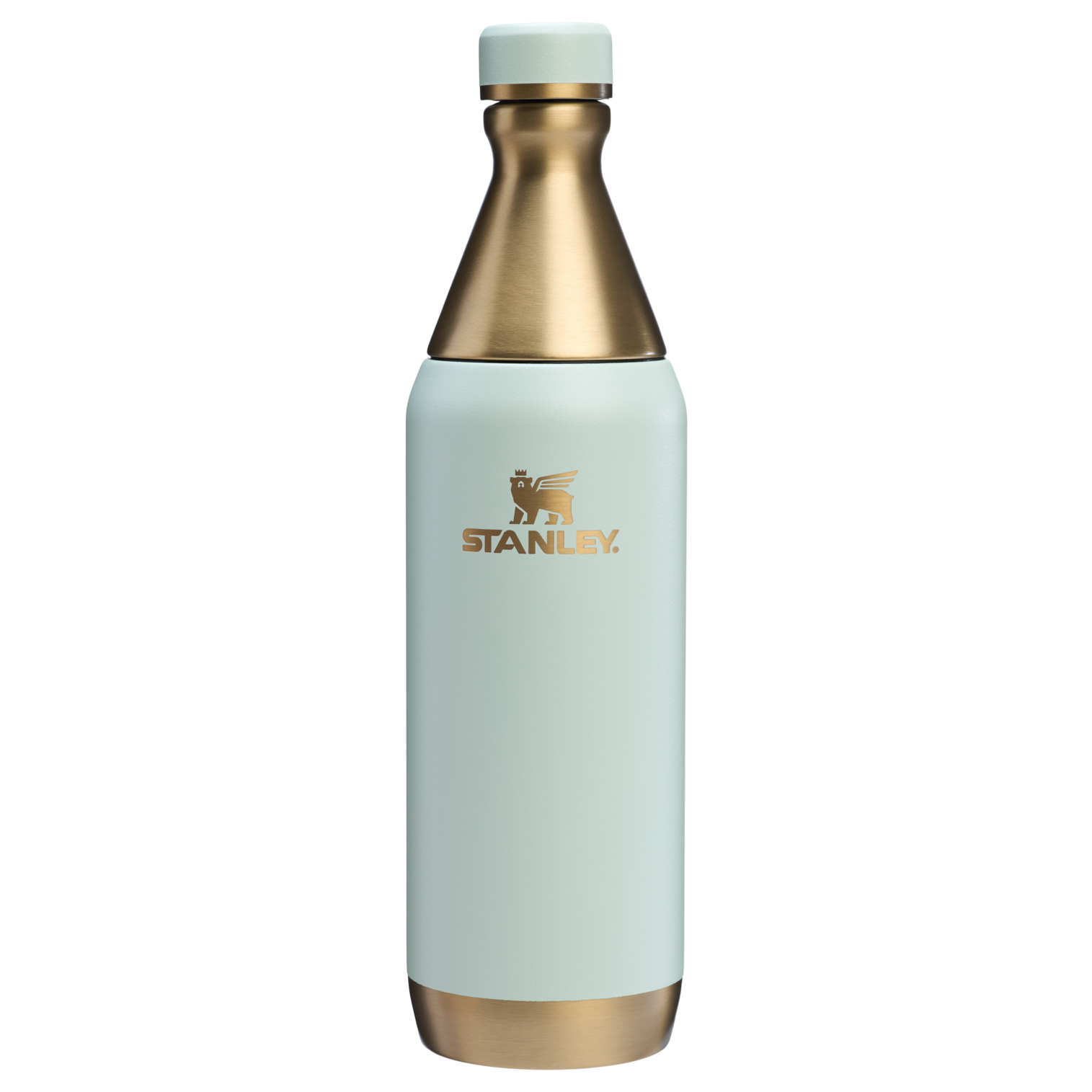 All Day Slim Bottle | 20 OZ FX2