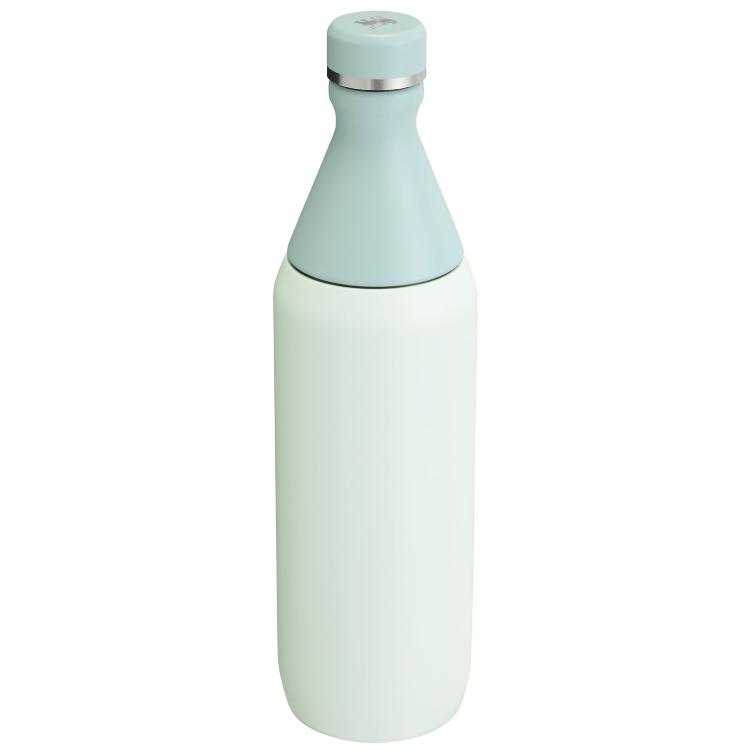 All Day Slim Bottle | 20 OZ FX2