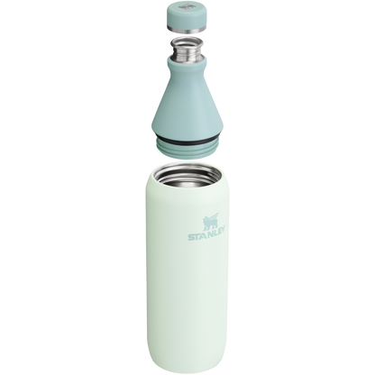 All Day Slim Bottle | 20 OZ FX2