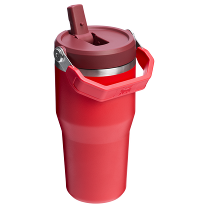 The IceFlow Flip Straw Tumbler | 20 OZ PE8