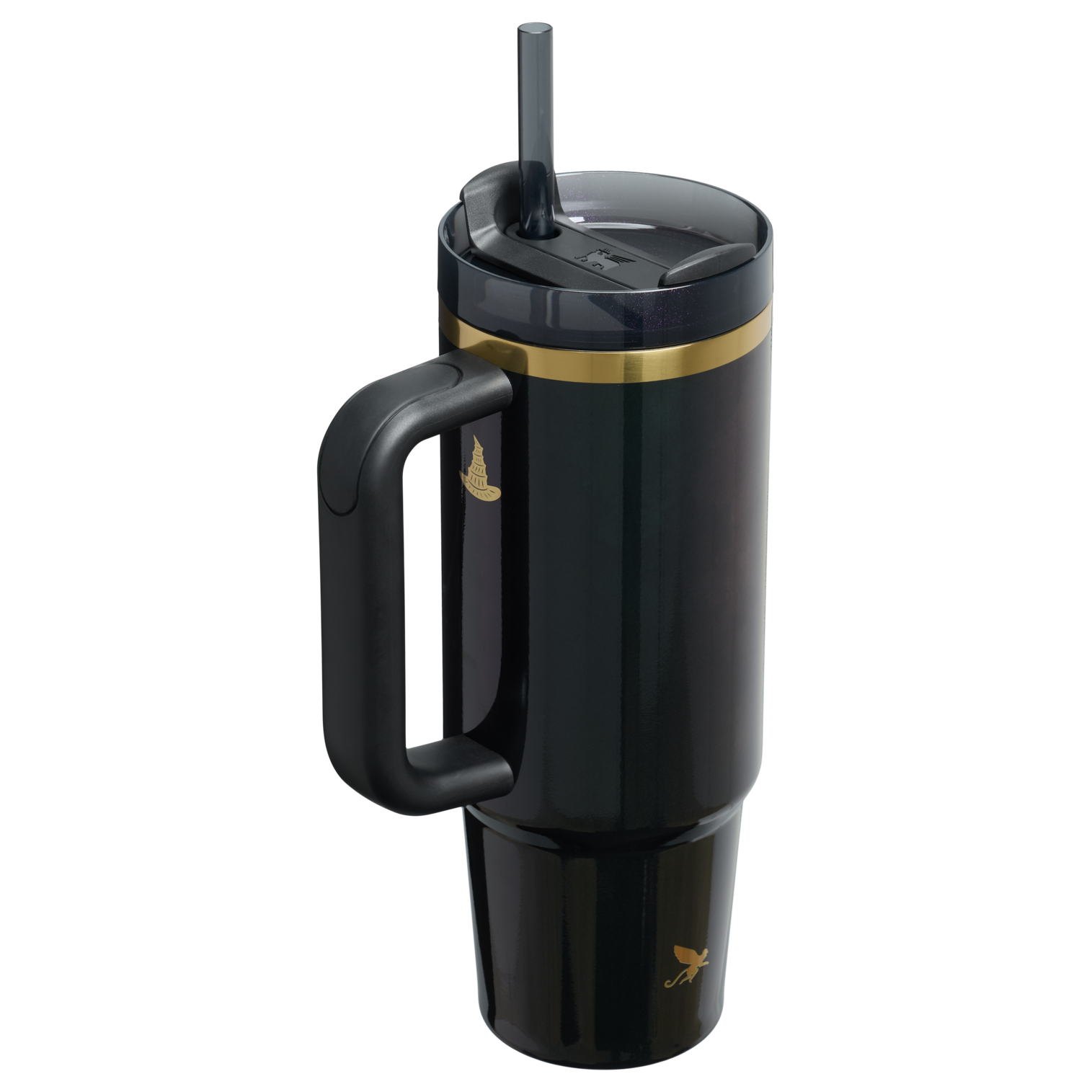 The Wicked for Good Quencher H2.0 FlowState Tumbler | 30 OZ HT2